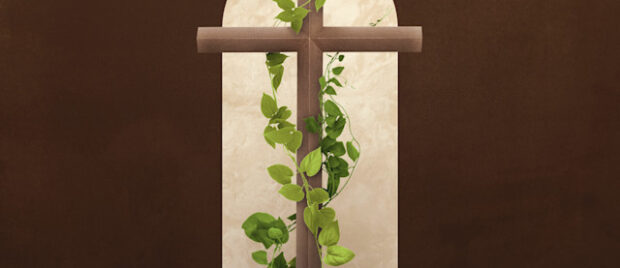 How-Is-Jesus-the-True-Vine_