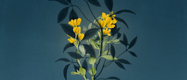 How-to-Support-the-Caregivers-in-Your-Church