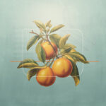 Jonathan Cruse - What-Is-the-Fruit-of-the-Holy-Spirit_2560