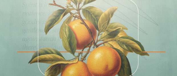 Jonathan Cruse - What-Is-the-Fruit-of-the-Holy-Spirit_2560