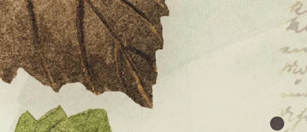 The Reformed Doctrine of God