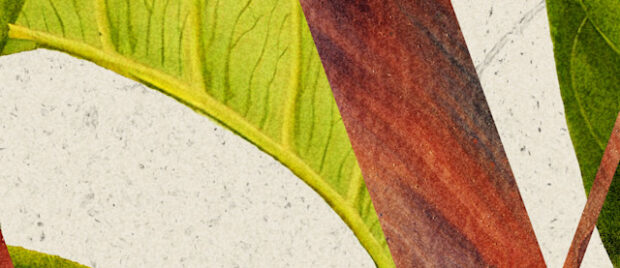 The Covenant of Works