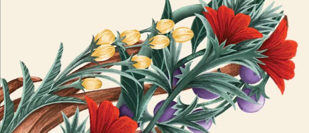 The Fruit of the Holy Spirit