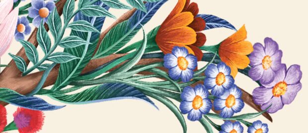 The Work of the Holy Spirit in History