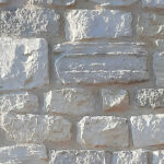 The Olivet Discourse