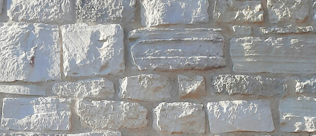 The Olivet Discourse