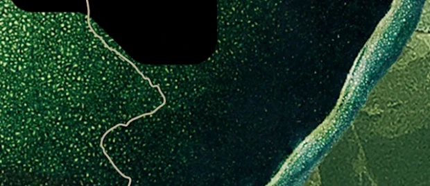 Resolving Abortion's Guilt