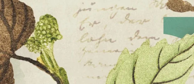 What Promise Did Jesus Give Before His Ascension