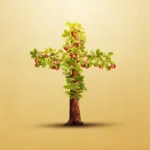 What Is Christian Maturity?