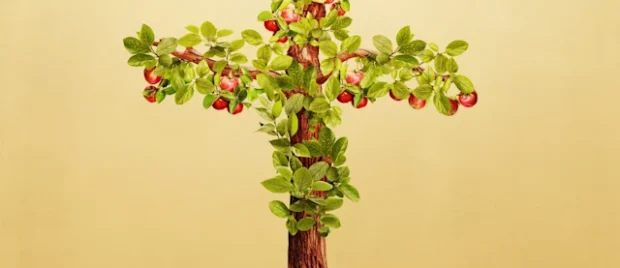 What Is Christian Maturity?