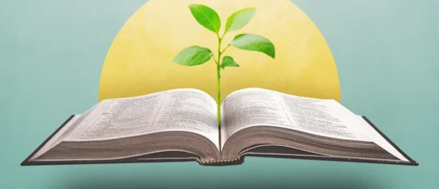 Covenant Theology for Kids A Beginner’s Guide